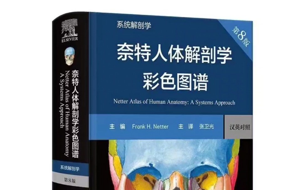 高清PDF 奈特人体解剖学彩色图谱:系统解剖学 第8版哔哩哔哩bilibili