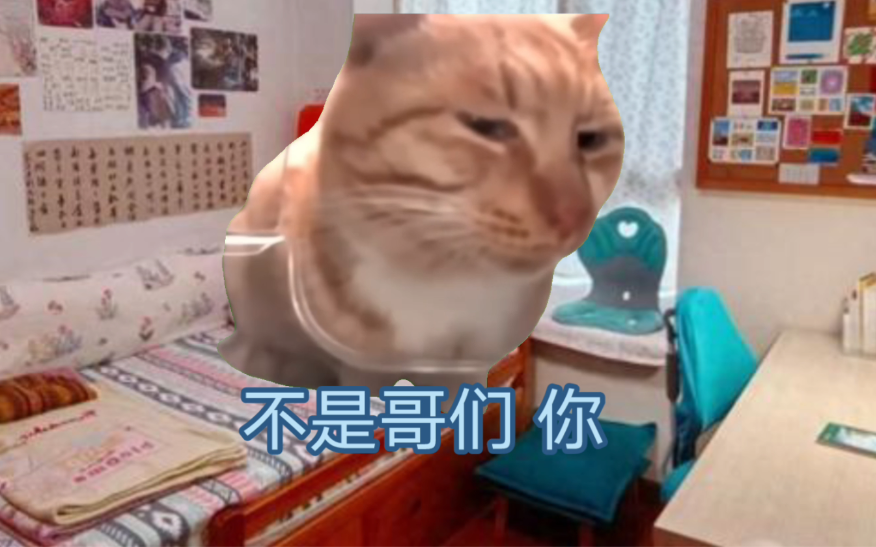 【猫meme】关于我差点做别人爸爸的事