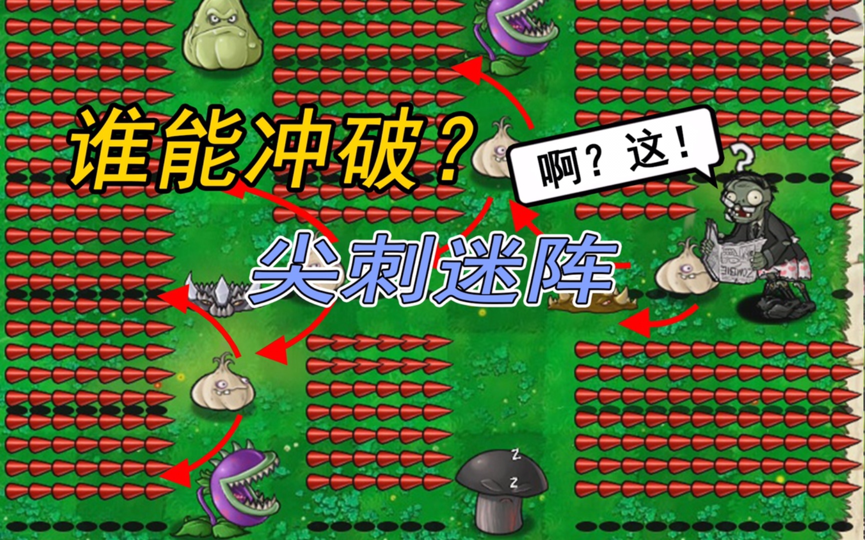 植物大战僵尸:谁能冲破,尖刺迷阵?哔哩哔哩bilibili