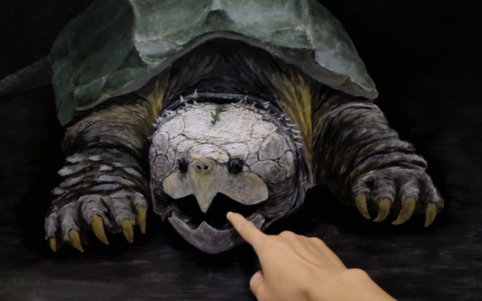 新作已出,北京玩家的,原种大鳄,擎天柱