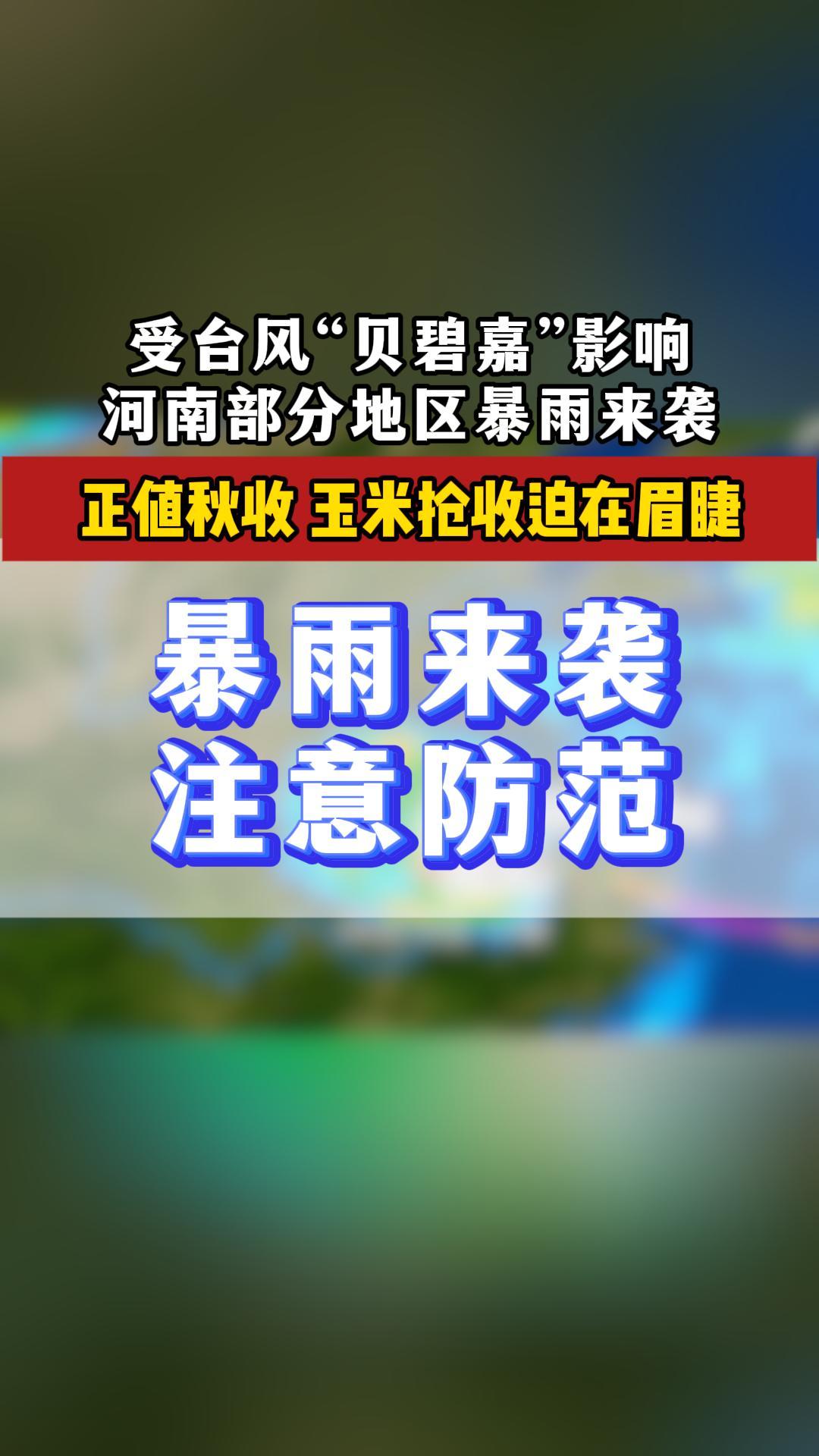 台风倒槽!暴雨、大暴雨要来河南!玉米抢收迫在眉睫!#台风哔哩哔哩bilibili