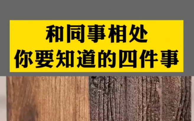 职场和同事相处,你要知道的四件事!哔哩哔哩bilibili