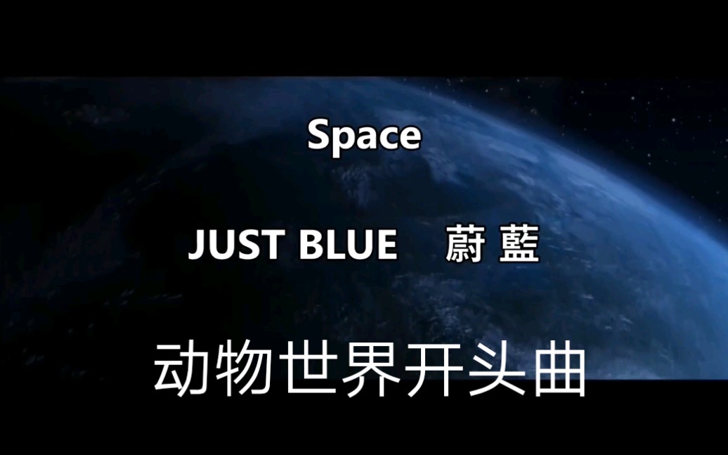 cctv动物世界开头曲