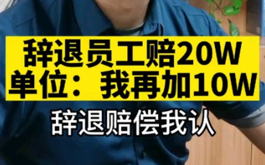 辞退员工给20万已经够多了,为什么单位还要多花10万元?哔哩哔哩bilibili