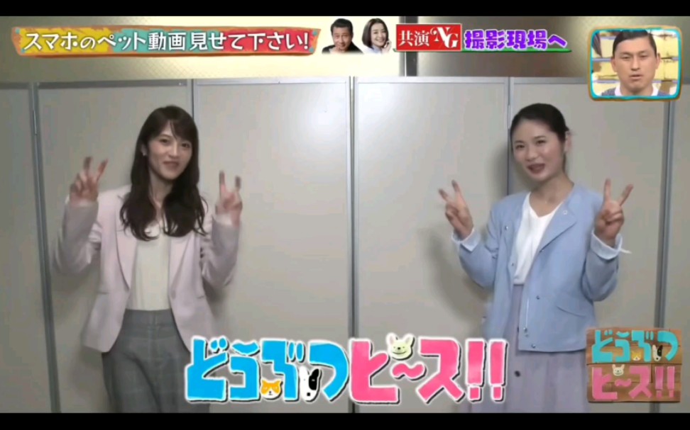 日综《どうぶつピース》若月佑美&小野花梨cut《共演ng》剧组哔哩哔哩bilibili