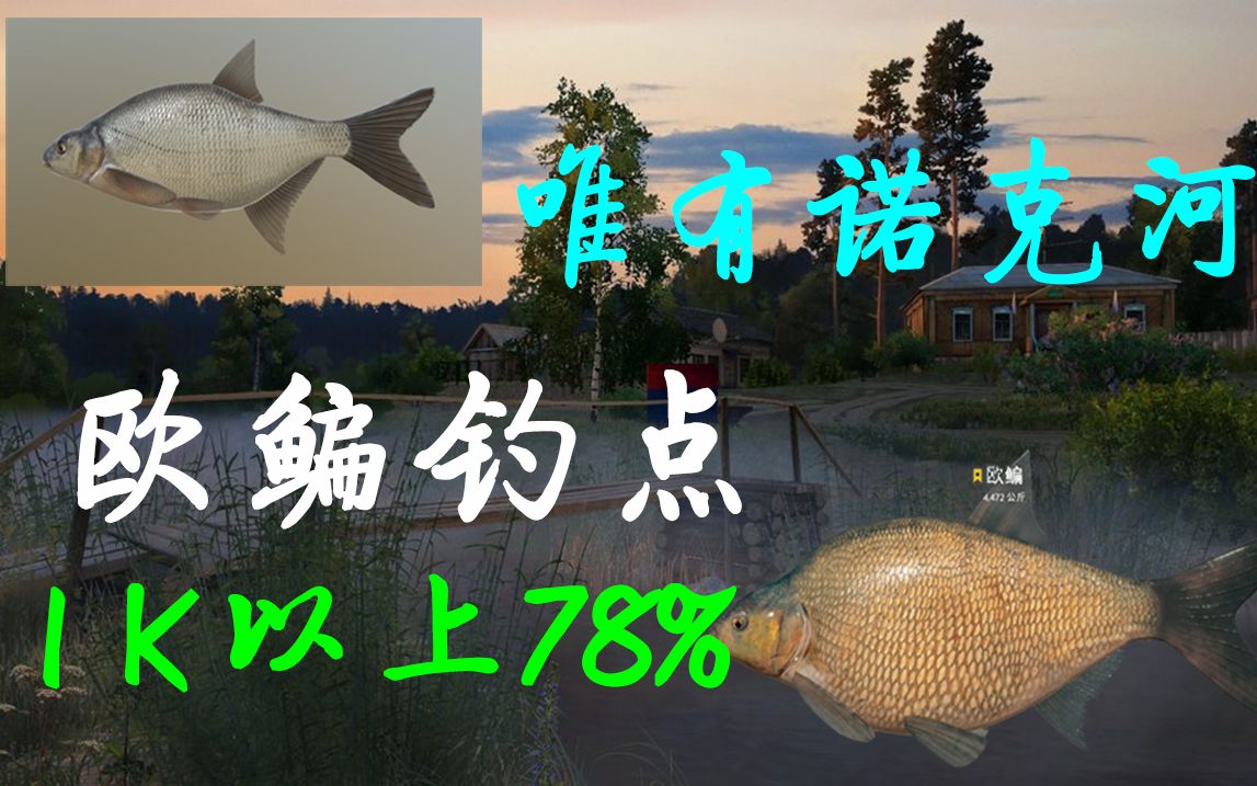 【欧鳊钓点】唯有诺克河欧鳊派对 Russian fishing 4 (俄罗斯钓鱼4)哔哩哔哩bilibili