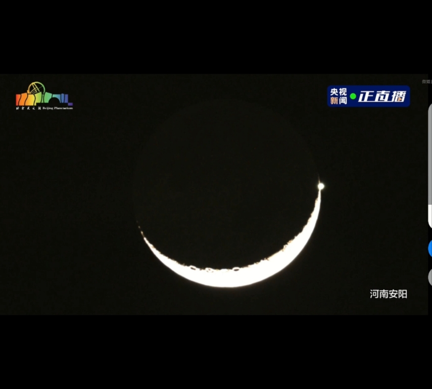 月亮与星星~哔哩哔哩bilibili