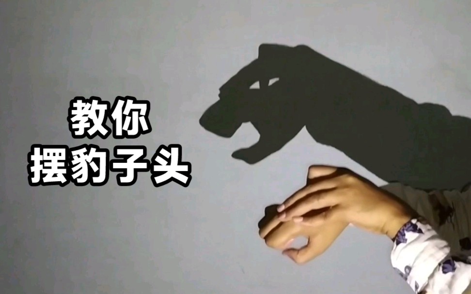 一个人玩花式教你手影豹子头