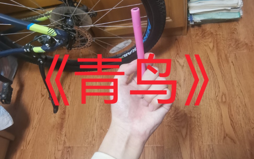 试问用3元小笛子吹火影主题曲青鸟会怎样