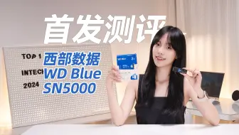 Download Video: 为AI创作而生，西部数据WD Blue SN5000 PCIe4固态硬盘评测