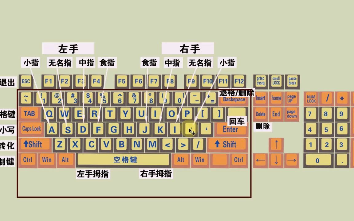 电脑初学者认识键盘和键盘正确打字方法