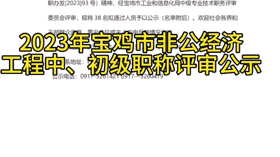 2023年陕西省宝鸡市中小企业非公经济工程系列中级、初级职称评审结果公示了哔哩哔哩bilibili