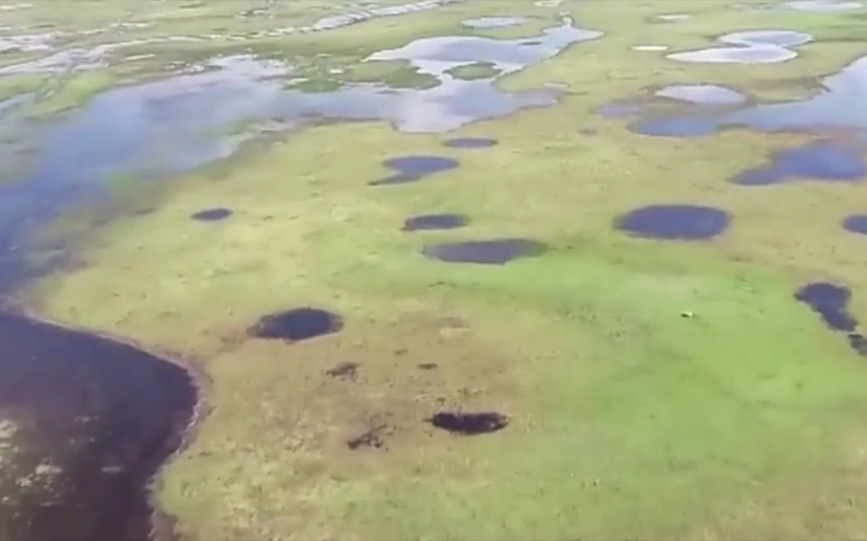 [图]【大美中国】湿地之韵之四川若尔盖湿地