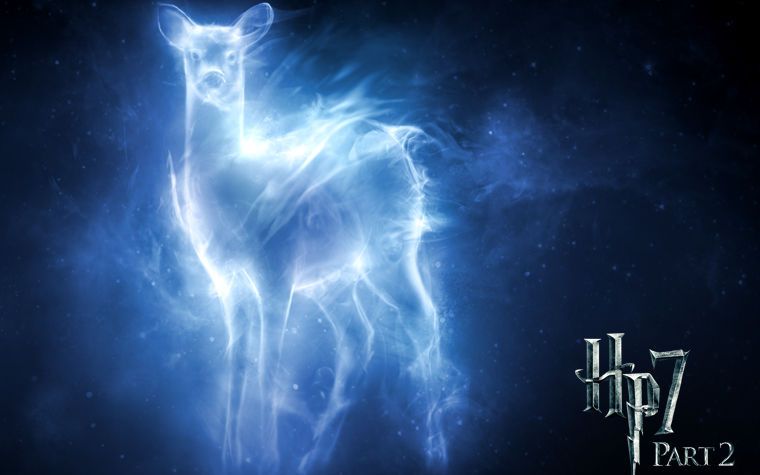 【哈利波特】expecto patronum(电影守护神镜头合辑混剪)