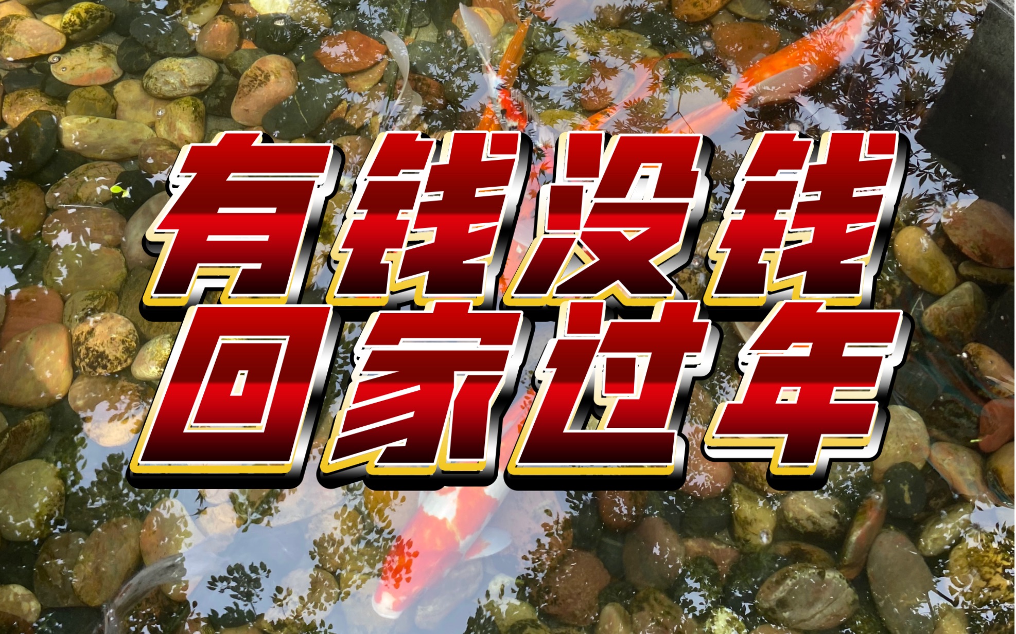 为什么要回家过年06