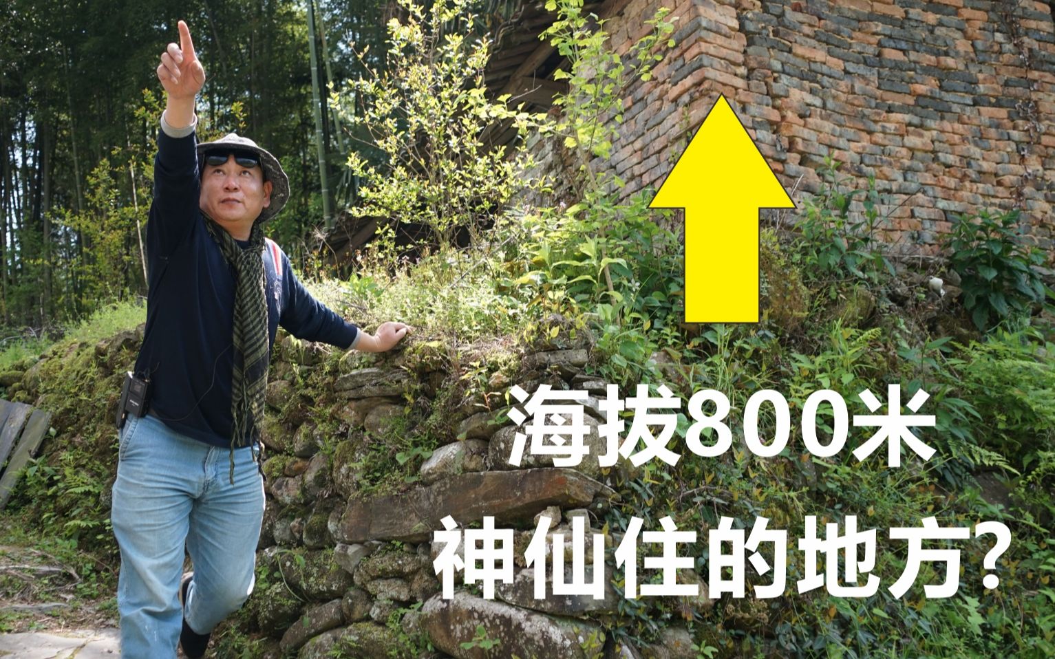 [图]采自富硒高山，凡喝会上瘾，1天仅200斤，世上怎会有这种茶？