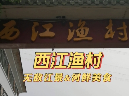 来三水西南不知道吃什么好,不如来西江渔村啦,品尝西江河鲜,享受无敌江景哔哩哔哩bilibili