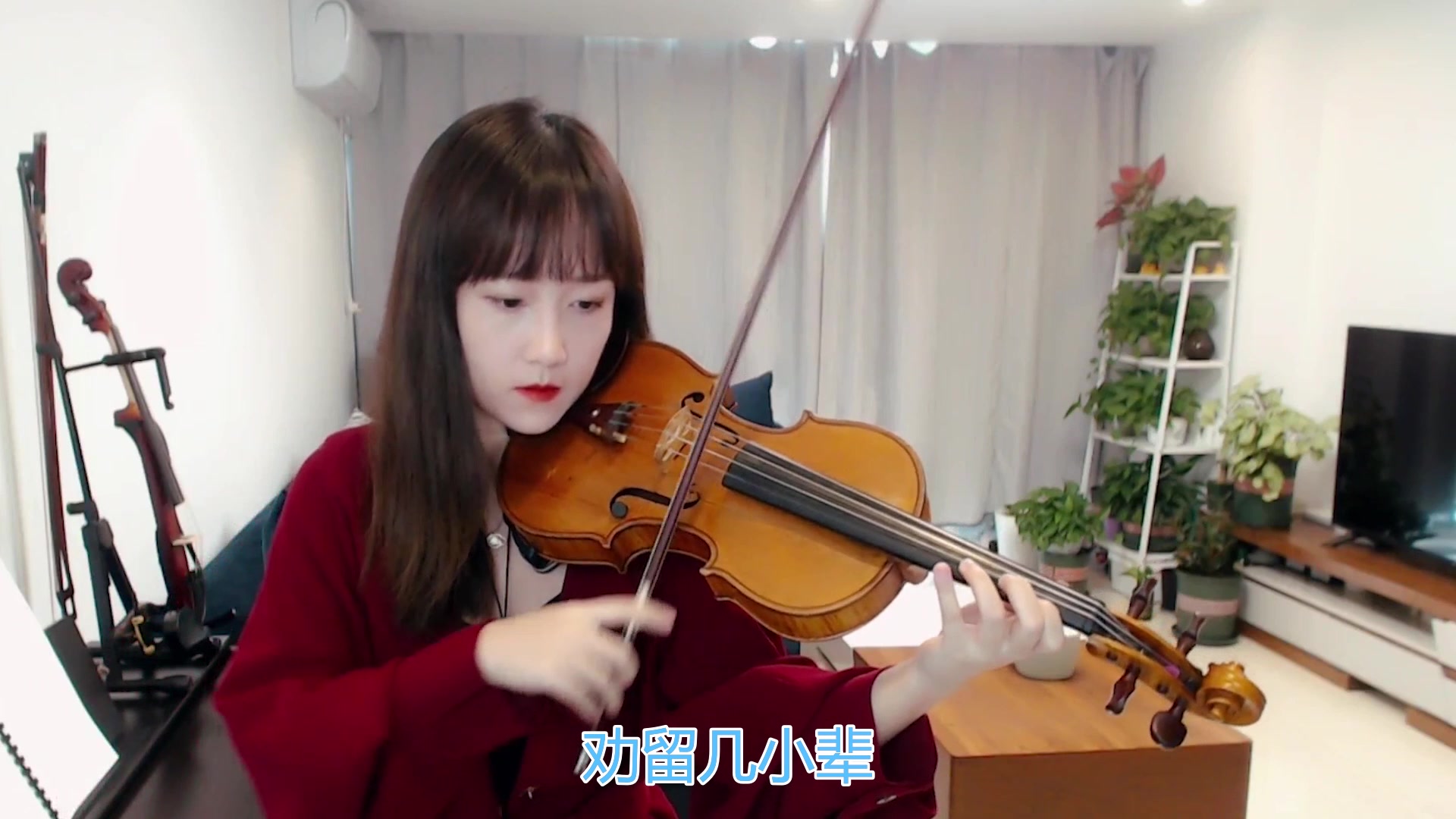 小提琴揉揉酱张晓棠演唱古风歌曲苏幕遮附小提琴谱