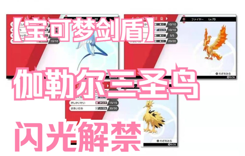 雨归宝可梦剑盾三圣鸟闪光终于解禁不过想要获得还需