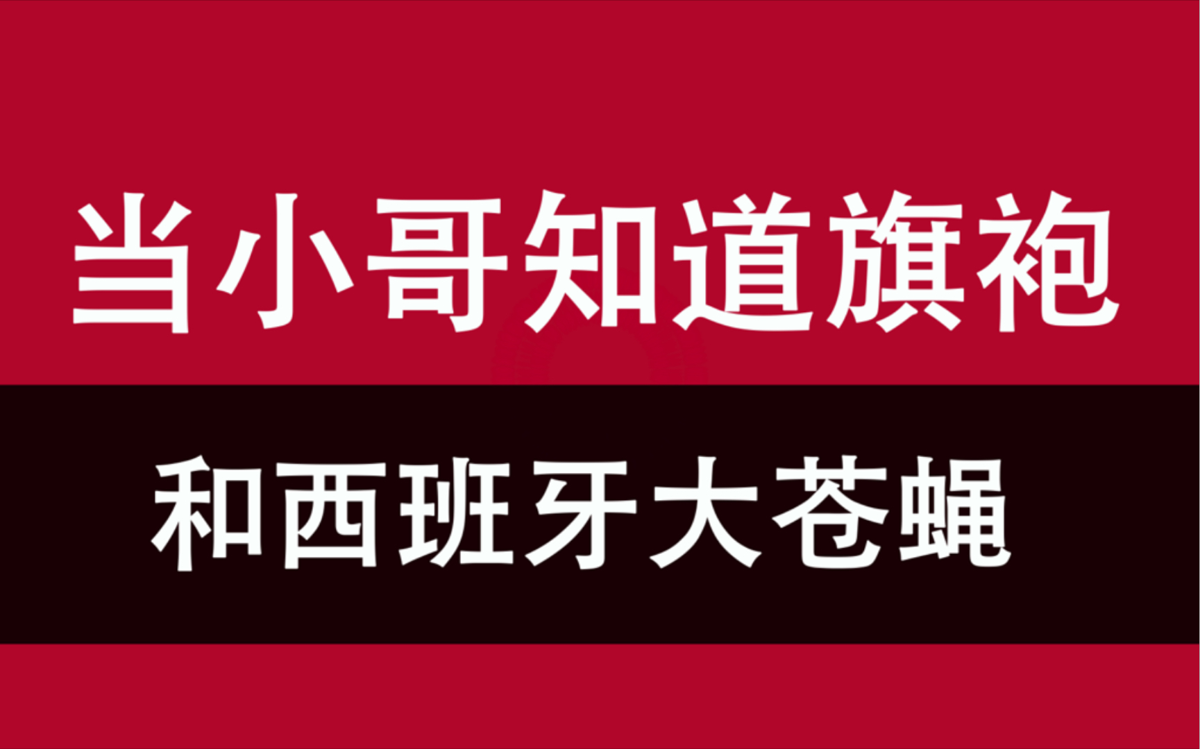 当小哥知道旗袍和西班牙大苍蝇【群聊系列|万粉福利第二弹】哔哩哔哩bilibili