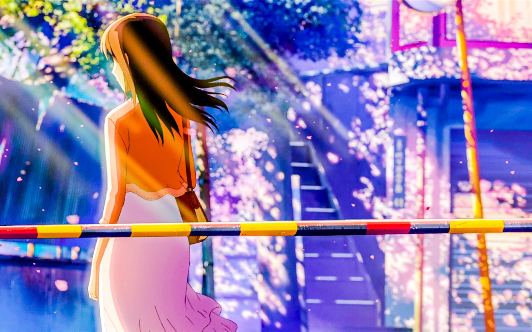 【秒速五厘米】画面唯美极了,时间是把杀猪刀