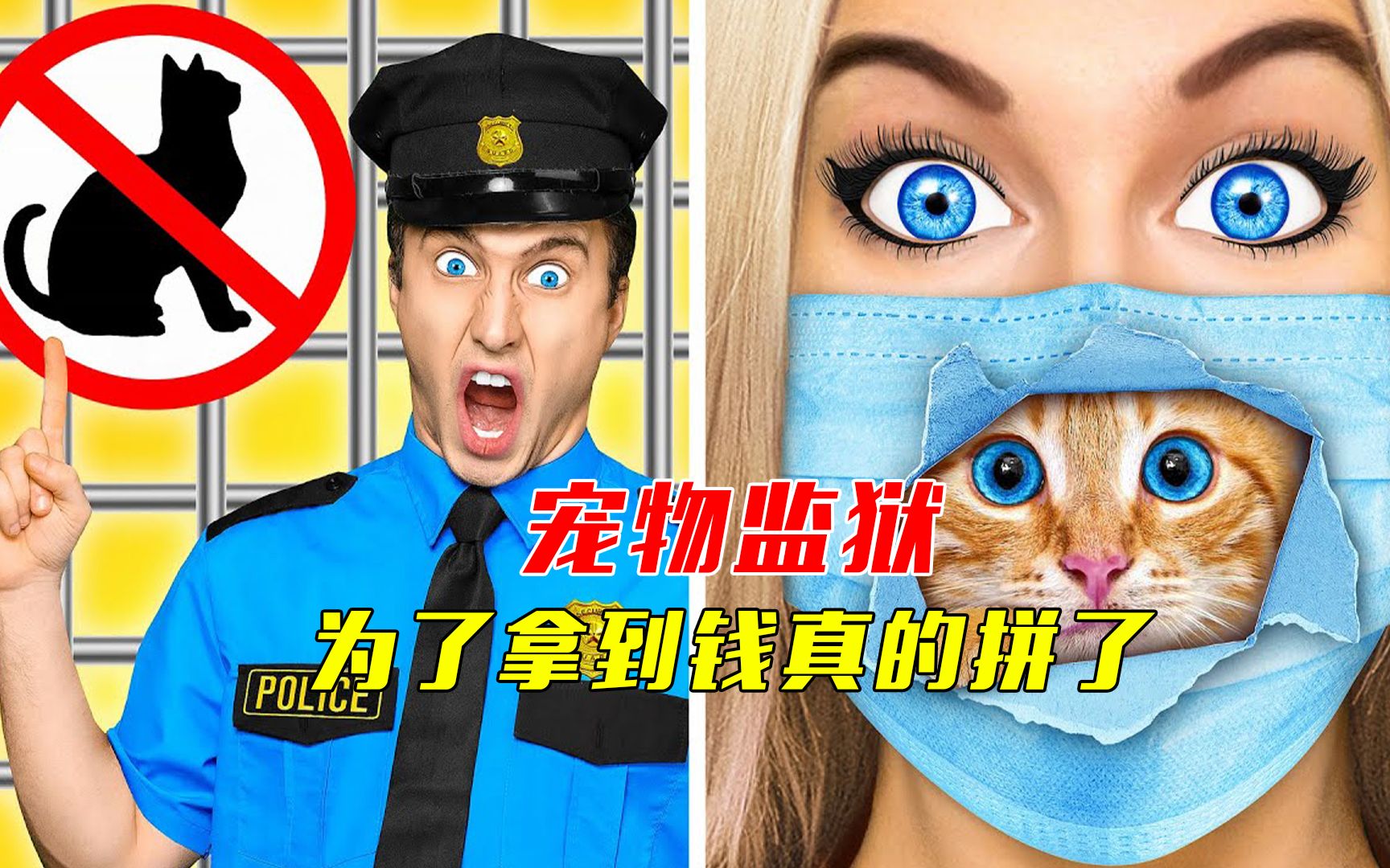 宠物监狱,为了拿到钱,这个女人把自己搭了进去哔哩哔哩bilibili