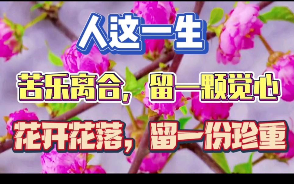 人这一生,苦乐离合,留一颗觉心;花开花落,留一份珍重