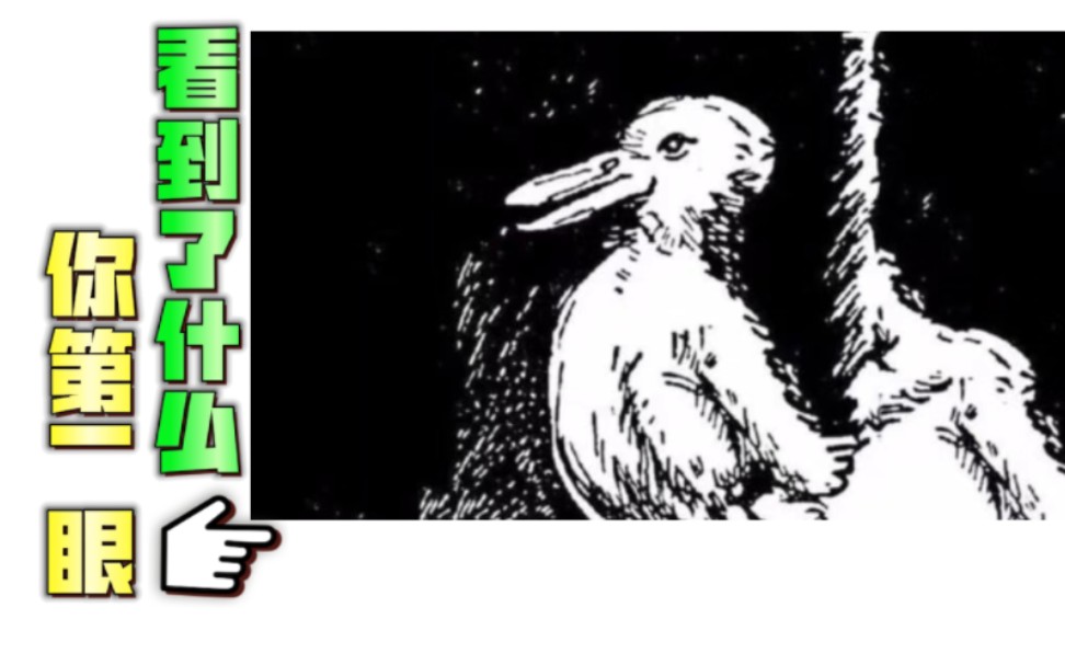 超准测试:图中你第一眼看见兔子还是鸭子?