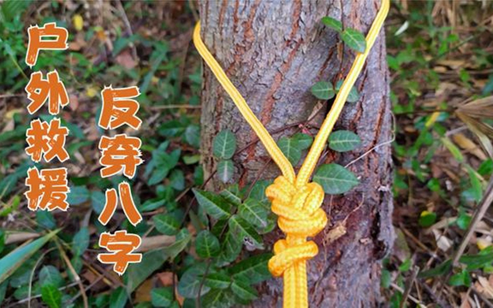 户外反穿八字结,一种救援定位绳结,不管上山下海体育都很实用_哔哩