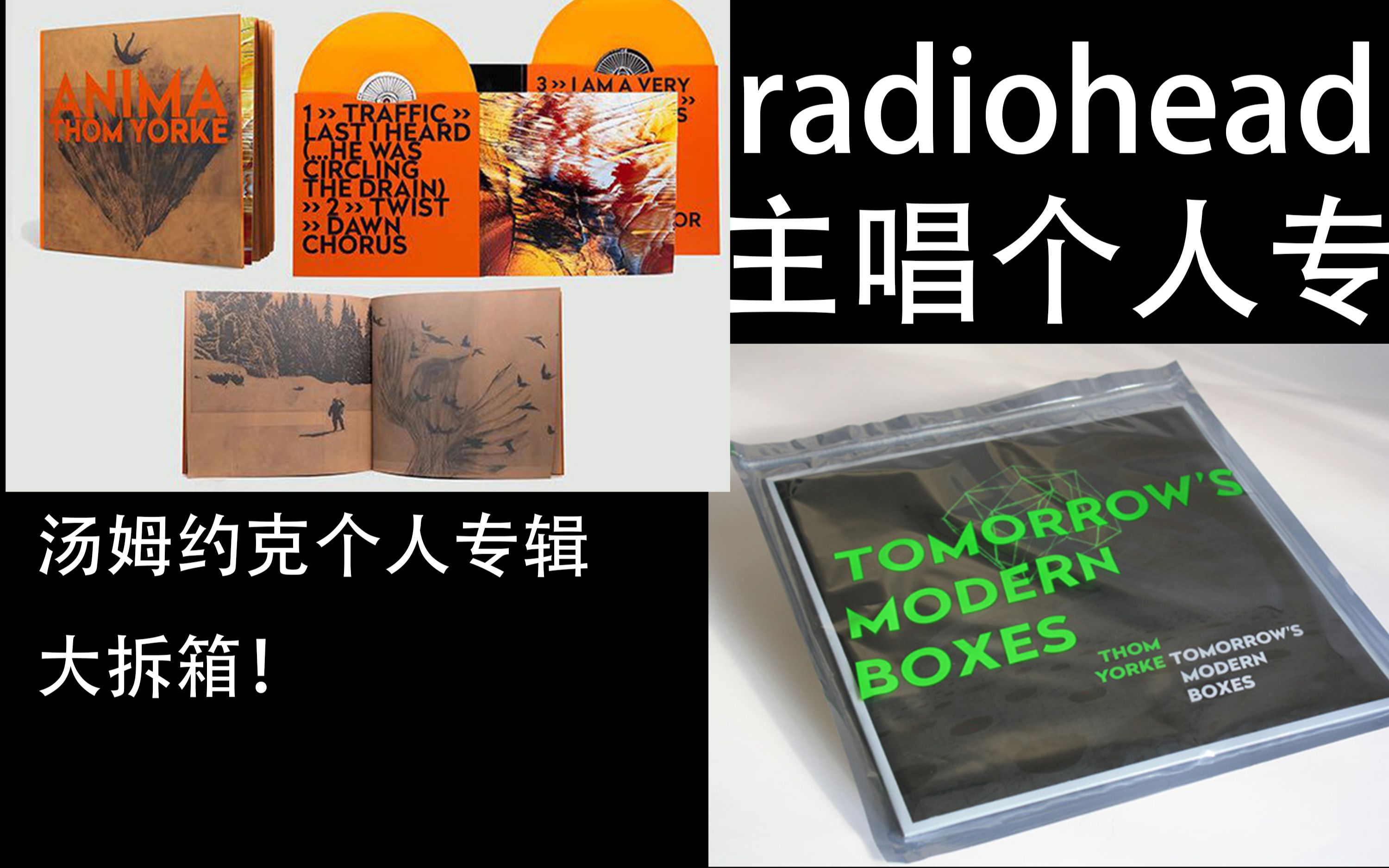 【radiohead主唱黑胶】汤姆约克thom yorke 个人彩胶专辑anima &