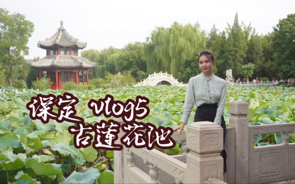 保定之旅vlog5:被誉为“城市蓬莱”的古莲花池哔哩哔哩bilibili