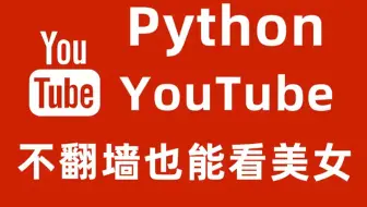 【Python】YouTuBe视频爬取，纯小白入门学习！