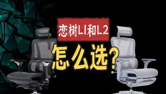 恋树L2人体工学椅值得购买吗？L1和L2怎么选？《单品系列》