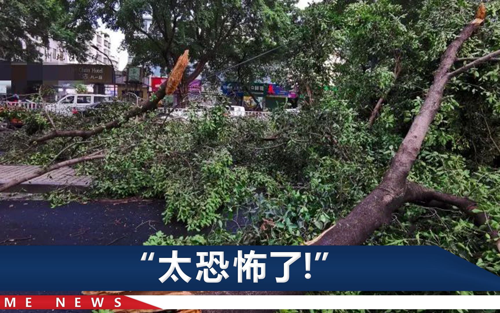 实拍广西柳州10级狂风:骑手困雨中扔车逃命,下一秒大树猛地砸来哔哩哔哩bilibili