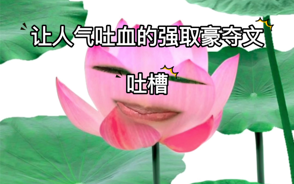 【吐槽】一本让人气吐血的强取豪夺小说——《乱臣》by蔡某人哔哩哔哩bilibili