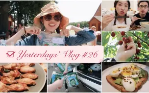 Download Video: 【 Yesterdays’ VLOG #26】首次尝试新奥尔良烤翅| 夏天一起摘樱桃吧 | 无法回收的空瓶