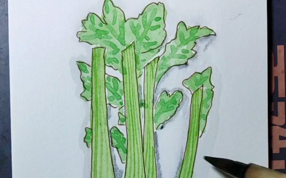 【水彩小白临摹练习】废画3000/16芹菜