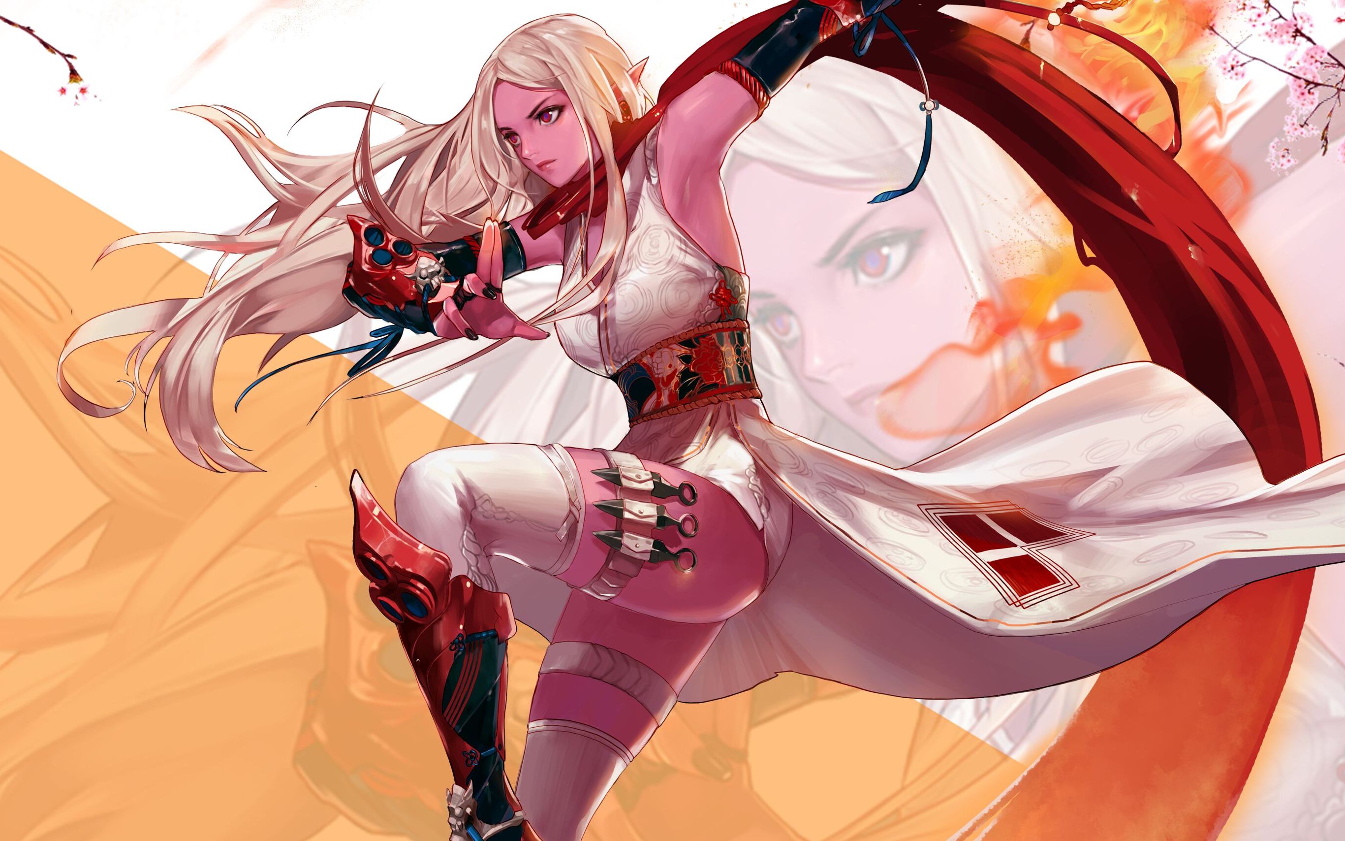 忍者魂异界兰蒂卢斯的鹰犬13次元45秒75