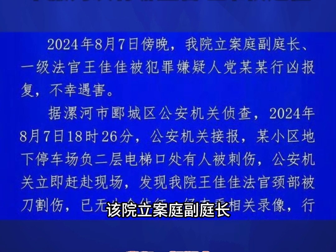 女法官依法办案惨遭sha害,不服判决有哪些合理维权途径?哔哩哔哩bilibili