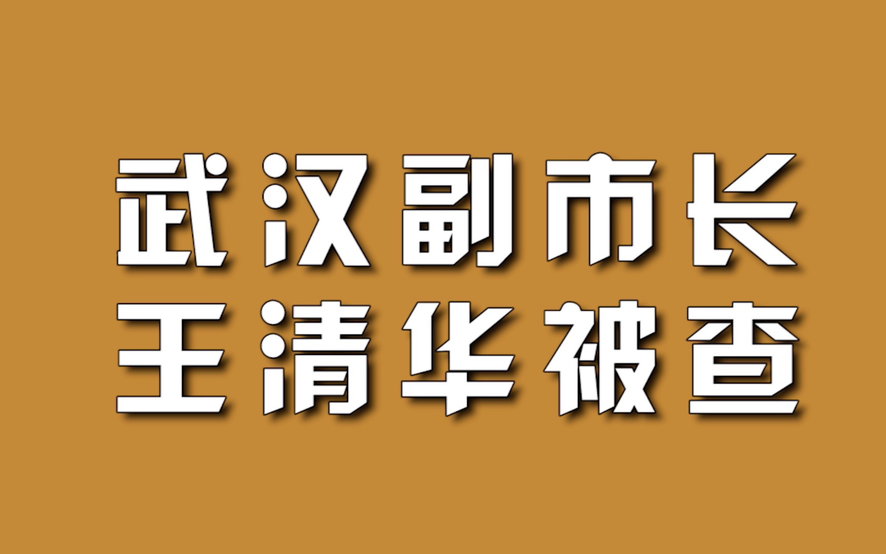 武汉副市长王清华被查.哔哩哔哩bilibili