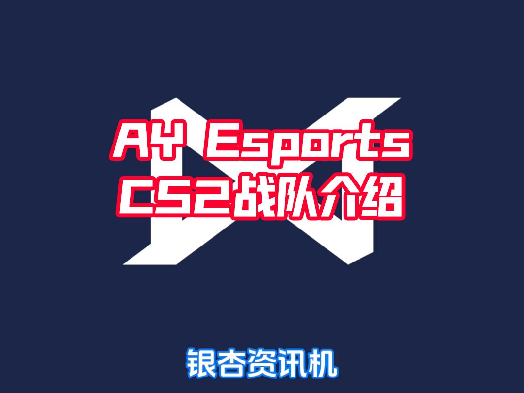 CS2亚洲赛区中国战队AY Esports战队介绍,2024年6月阵容名单哔哩哔哩bilibili