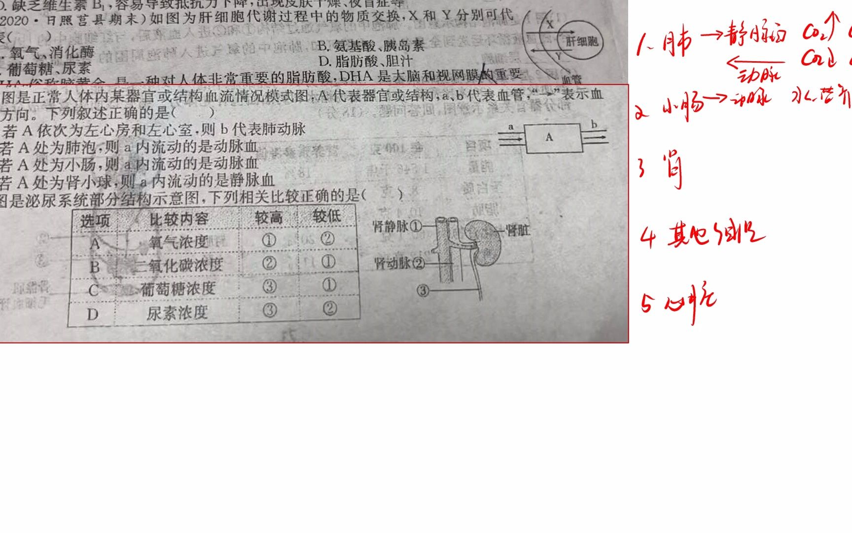 初中生物哔哩哔哩bilibili