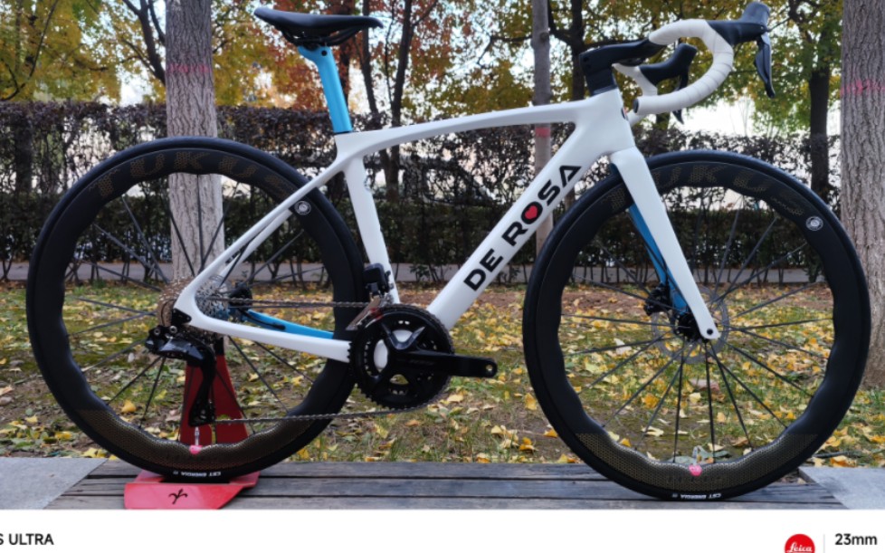 粉丝定制的意大利一王四后德罗莎idol