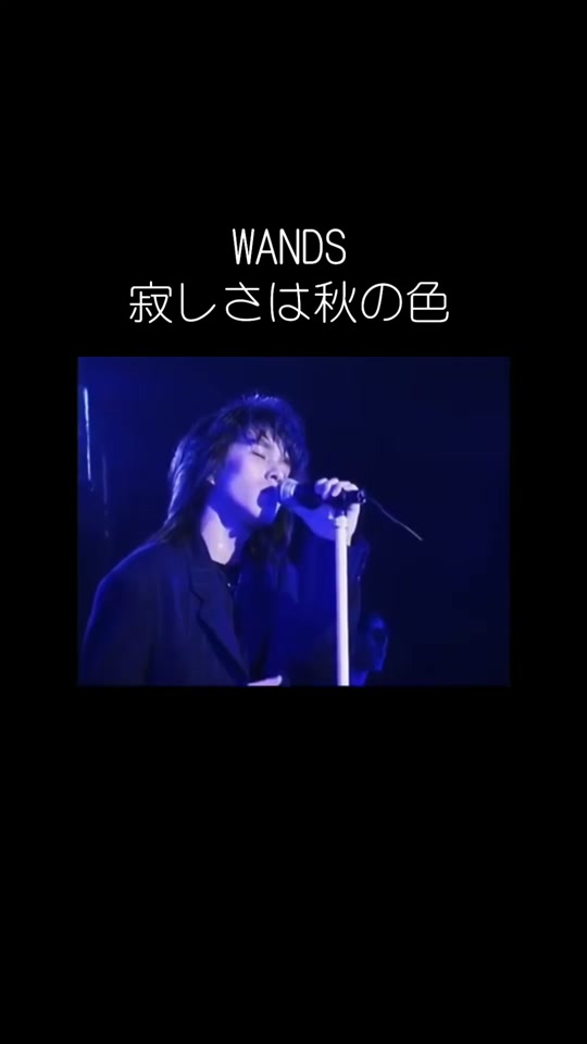 50岁的大叔选择的隐藏的名曲 #wands #寂寞是秋天的颜色 #80s #90s
