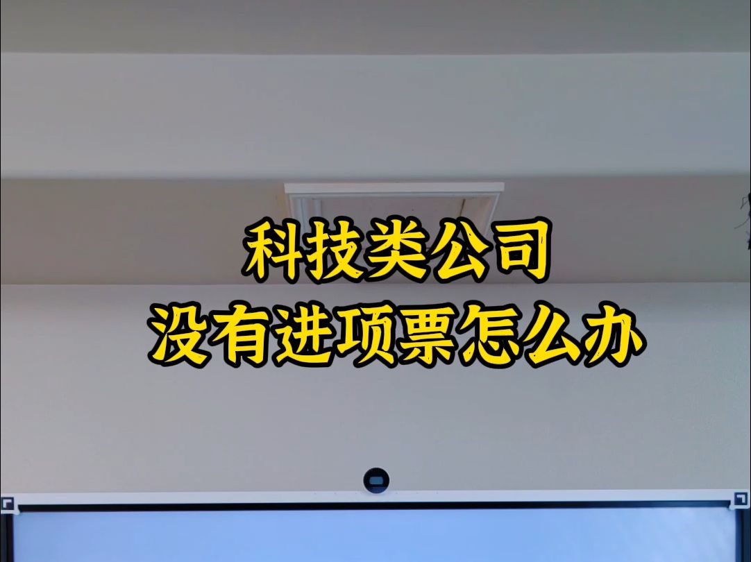 科技类公司没有进项票怎么办哔哩哔哩bilibili