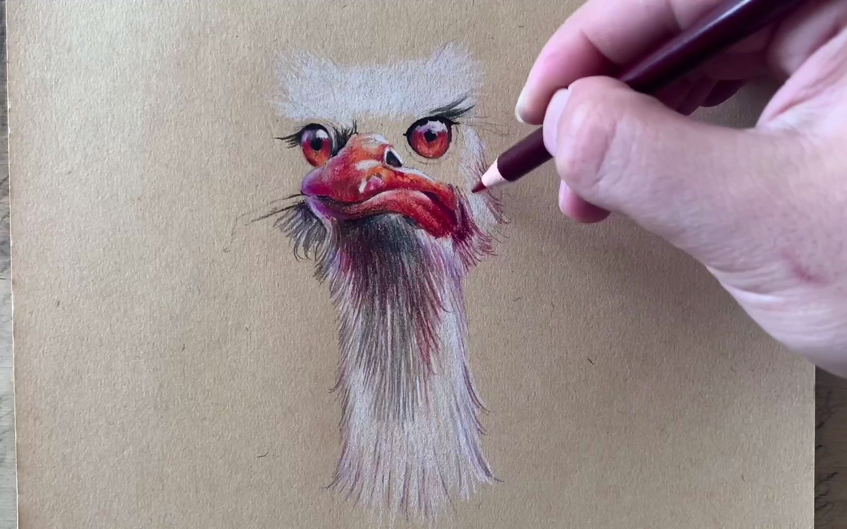 彩铅教程,教你如何画出逼真柔软的羽毛,零基础手绘鸵鸟过程_哔哩哔哩