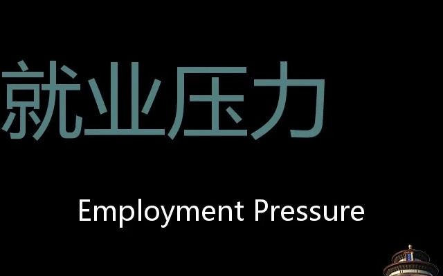 就业压力 Chinese Pronunciation Employment pressure哔哩哔哩bilibili