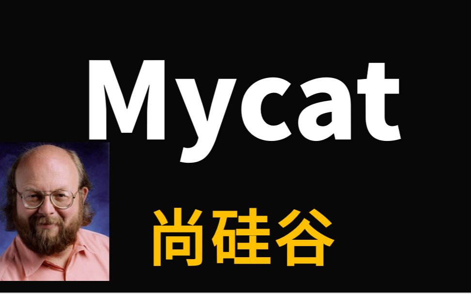 Mycat数据库中间件尚硅谷哔哩哔哩bilibili