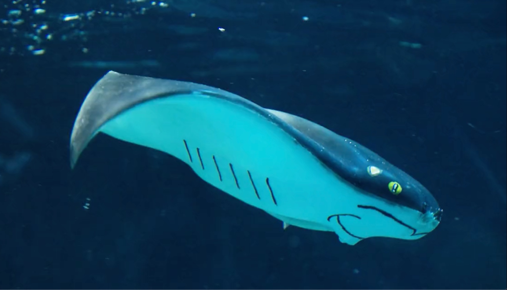 软体仿生鱼"文鳐"问世,搭载华为芯,可在300米内水深执行任务