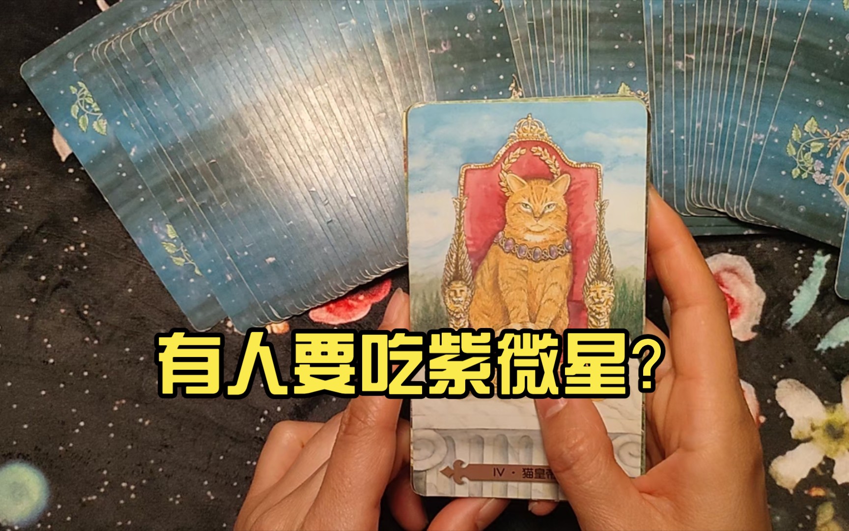 [图]有人要吃紫微星？我们看看怎么回事！